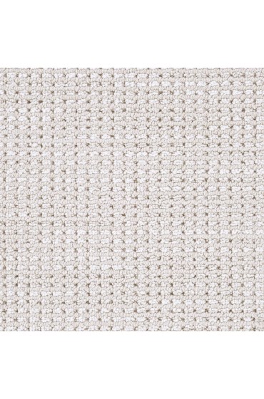 Carpet| STAINMASTER Signature Asheville Utmost Pattern Carpet (Indoor) - NZ06991