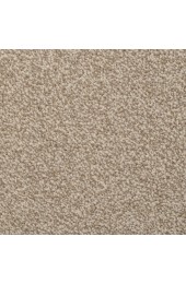 Carpet| STAINMASTER Signature Briar Patch Granada Textured Carpet (Indoor) - EK07605