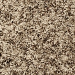 Carpet| STAINMASTER Signature Concerto Play Textured Carpet (Indoor) - YR15125