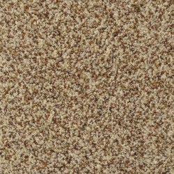 Carpet| STAINMASTER Signature Documentary French Toast Textured Carpet (Indoor) - PH63044