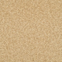 Carpet| STAINMASTER Signature Informal Affair Buckwheat Textured Carpet (Indoor) - RH06828