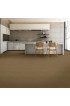 Carpet| STAINMASTER Signature Pathway Grounded Pattern Carpet (Indoor) - TC53142