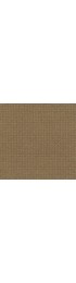Carpet| STAINMASTER Signature Pathway Grounded Pattern Carpet (Indoor) - TC53142