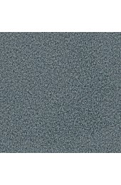 Carpet| STAINMASTER Signature Pinson Allegiant Textured Carpet (Indoor) - PK66178