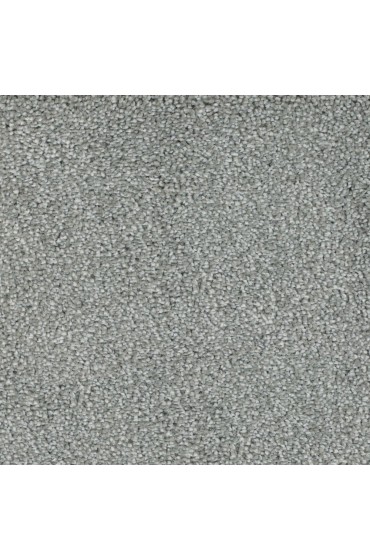 Carpet| STAINMASTER Signature Pleasant Point Fashion Textured Carpet (Indoor) - IW22416