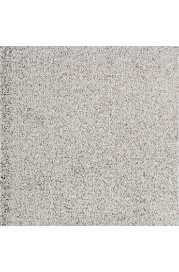 Carpet| STAINMASTER Signature Quantum Valiant Textured Carpet (Indoor) - SP08508