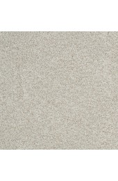 Carpet| STAINMASTER Signature Raines Adament Textured Carpet (Indoor) - CD31595