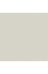 Carpet| STAINMASTER Signature Raines Earnest Textured Carpet (Indoor) - WN31814