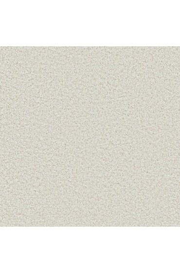 Carpet| STAINMASTER Signature Raines Earnest Textured Carpet (Indoor) - WN31814