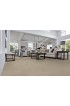 Carpet| STAINMASTER Signature Raines Established Textured Carpet (Indoor) - FJ37188