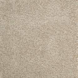 Carpet| STAINMASTER Signature Raines Established Textured Carpet (Indoor) - FJ37188