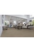 Carpet| STAINMASTER Signature Raines Truthful Textured Carpet (Indoor) - FQ75580