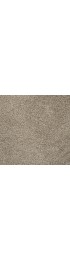 Carpet| STAINMASTER Signature Raines Truthful Textured Carpet (Indoor) - FQ75580