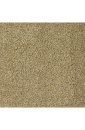 Carpet| STAINMASTER Signature Shafer Valley Nostalgia Textured Carpet (Indoor) - UE26652