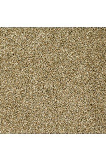 Carpet| STAINMASTER Signature Shafer Valley Nostalgia Textured Carpet (Indoor) - UE26652