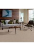 Carpet| STAINMASTER Signature Supreme Delight 1 Park Avenue Textured Carpet (Indoor) - WB98531