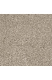Carpet| STAINMASTER Signature Supreme Delight 1 Park Avenue Textured Carpet (Indoor) - WB98531