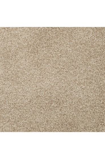 Carpet| STAINMASTER Signature Vandross Unending Textured Carpet (Indoor) - KG73536