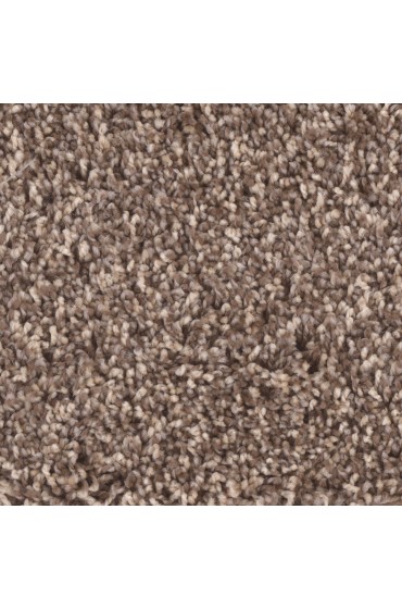 Carpet| STAINMASTER Sos Ballad Chart Textured Carpet (Indoor) - NO78476