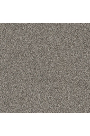 Carpet| STAINMASTER Sos Chenille Broadcloth Textured Carpet (Indoor) - HF96660