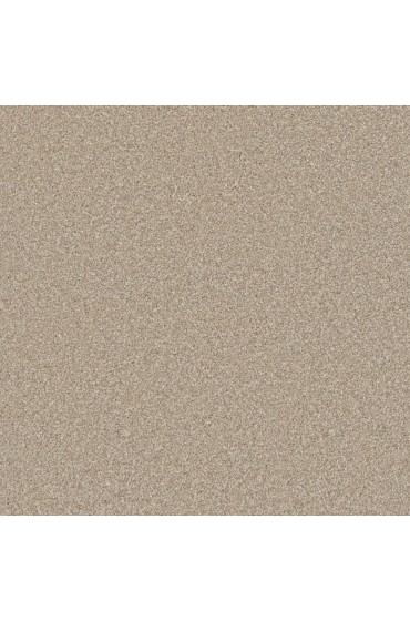 Carpet| STAINMASTER Sos Chenille Flannel Textured Carpet (Indoor) - QH32911