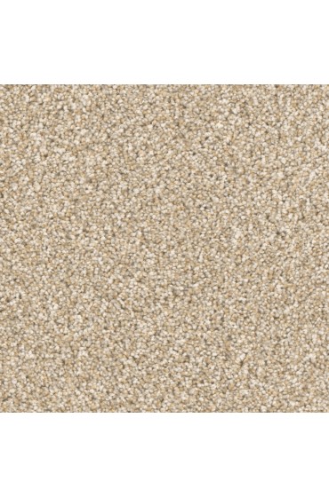 Carpet| STAINMASTER Sos Fuse Visualize Textured Carpet (Indoor) - TS50069