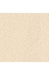 Carpet| STAINMASTER Sos Imagine Create Textured Carpet (Indoor) - TQ73127
