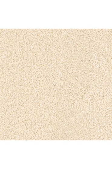 Carpet| STAINMASTER Sos Imagine Create Textured Carpet (Indoor) - TQ73127