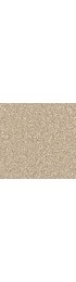 Carpet| STAINMASTER Sos Merge Visualize Textured Carpet (Indoor) - TP96764
