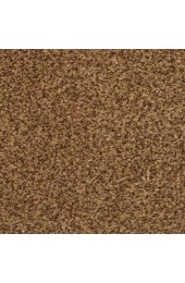 Carpet| STAINMASTER Special Occasion Autumn Bud Textured Carpet (Indoor) - AV13543