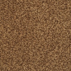 Carpet| STAINMASTER Special Occasion Autumn Bud Textured Carpet (Indoor) - AV13543