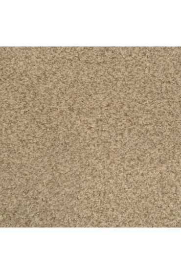Carpet| STAINMASTER Special Occasion Breezy Textured Carpet (Indoor) - AQ16411
