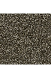 Carpet| STAINMASTER Tranquil Walk I Gable Textured Carpet (Indoor) - XC51779