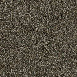 Carpet| STAINMASTER Tranquil Walk I Gable Textured Carpet (Indoor) - XC51779