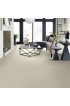 Carpet| STAINMASTER Unmatched Beauty I Cheviot Textured Carpet (Indoor) - GB86861