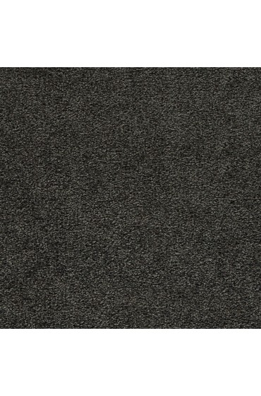 Carpet| STAINMASTER Uptown trend I Battleship Textured Carpet (Indoor) - EQ08765