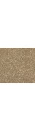 Carpet| STAINMASTER Uptown trend I Buckskin Textured Carpet (Indoor) - WF10151