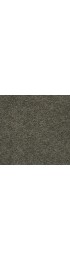 Carpet| STAINMASTER Uptown trend I Metal Flake Textured Carpet (Indoor) - JY50448