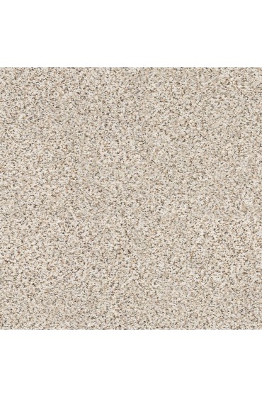 Carpet| STAINMASTER Very Dapper I-Pixel Textured Carpet (Indoor) - GL16077