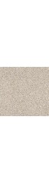Carpet| STAINMASTER Very Dapper I-Pixel Textured Carpet (Indoor) - GL16077