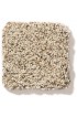 Carpet| STAINMASTER Very Dapper I Sand Castle Textured Carpet (Indoor) - JY89052