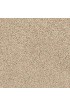 Carpet| STAINMASTER Very Dapper I Sand Castle Textured Carpet (Indoor) - JY89052
