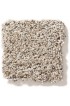 Carpet| STAINMASTER Very Dapper III Pencil Sketch Textured Carpet (Indoor) - UD93999