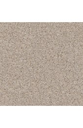 Carpet| STAINMASTER Very Dapper III Pencil Sketch Textured Carpet (Indoor) - UD93999