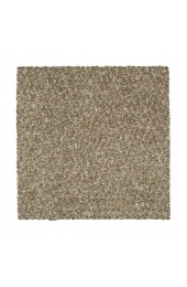 Carpet| STAINMASTER Vibrant blend I Cancun Plush Carpet (Indoor) - NB49392