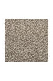 Carpet| STAINMASTER Vibrant blend I Nomad Plush Carpet (Indoor) - XC48366