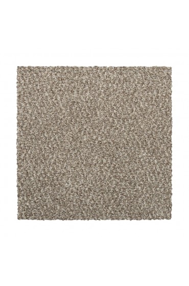 Carpet| STAINMASTER Vibrant blend I Nomad Plush Carpet (Indoor) - XC48366
